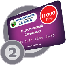 certificate11000